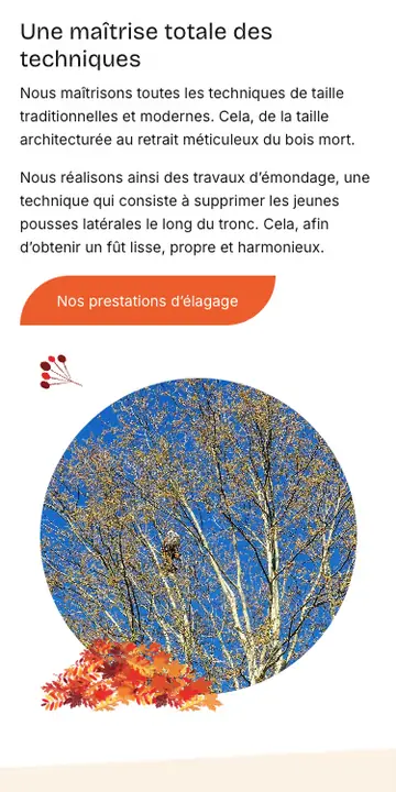 Écran mobile, élagage et entretien d'arbres