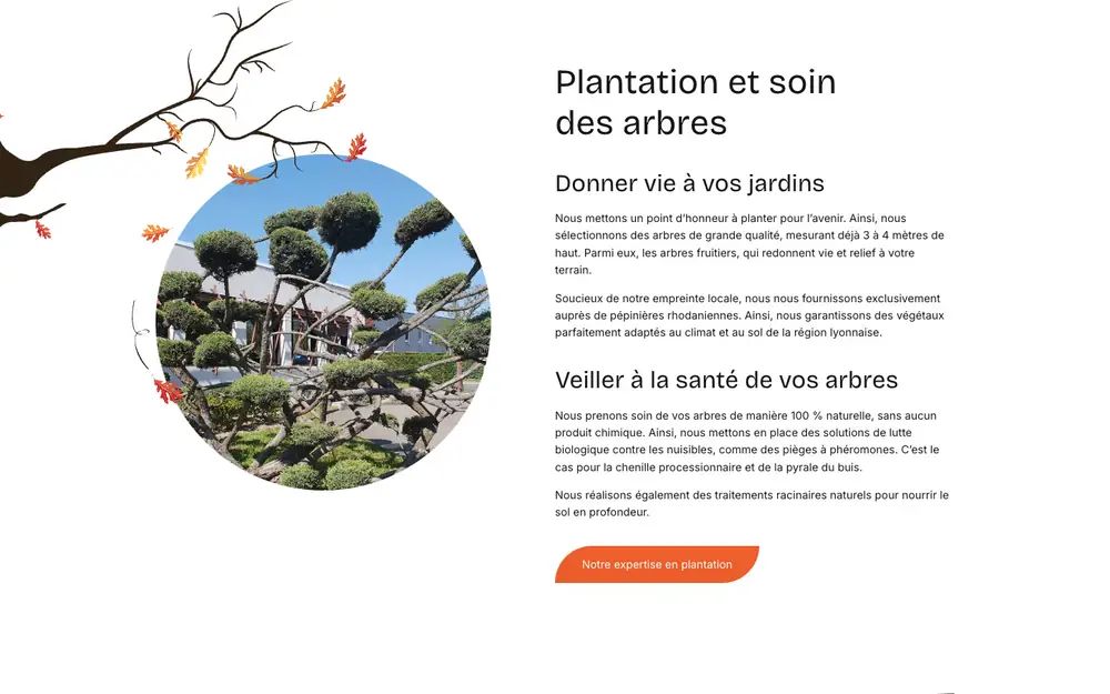 Écran du site, élagage et entretien d'arbres